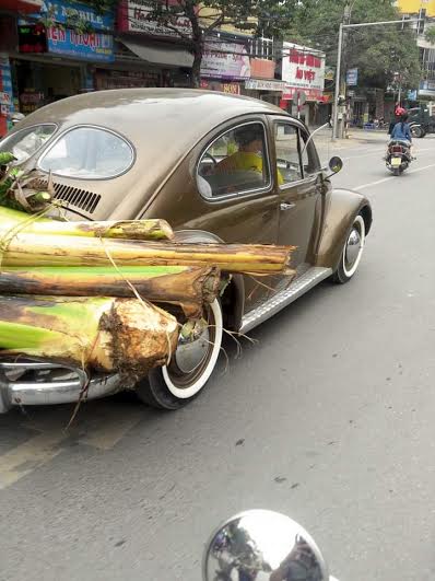 Không chỉ vậy, chiếc xế hộp cổ này còn gắn biển số “cây chuối” khiến người đi đường không khỏi tò mò