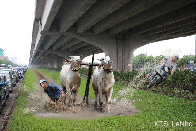 Chàng trai đi trên cỏ xanh bị biến thành anh nông dân cày ruộng.
