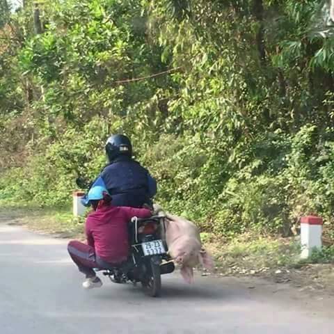 Vợ một bên và heo một bên.