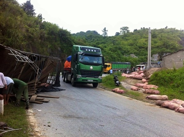 
Hiện trường vụ tai nạn xe tải chở lợn vào hồi tháng 8/2015.
