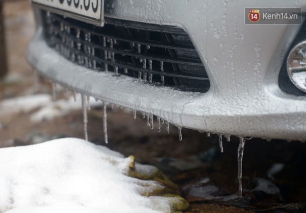 
Nhiều chiếc xe mới đỗ chưa hết nguội máy mà nước đã đọng thành từng mảng băng ở phía hút gió trước.
