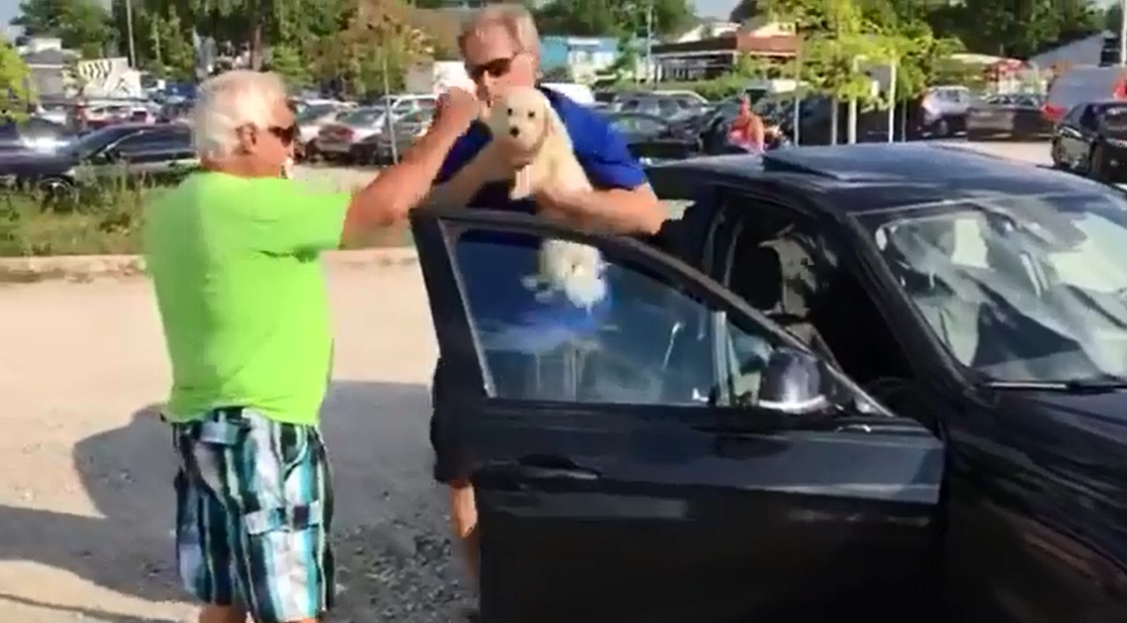 
Chú chó nhỏ được đưa ra khỏi xe. Ảnh cắt từ video
