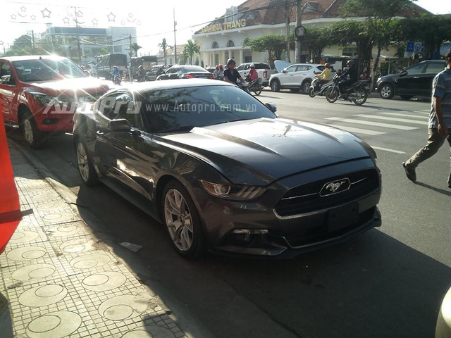 
Ford Mustang 50 Year Limited Edition từng thu hút nhiều sự chú ý khi xuất hiện tại Nha Trang vào giữa tháng 1 vừa qua.
