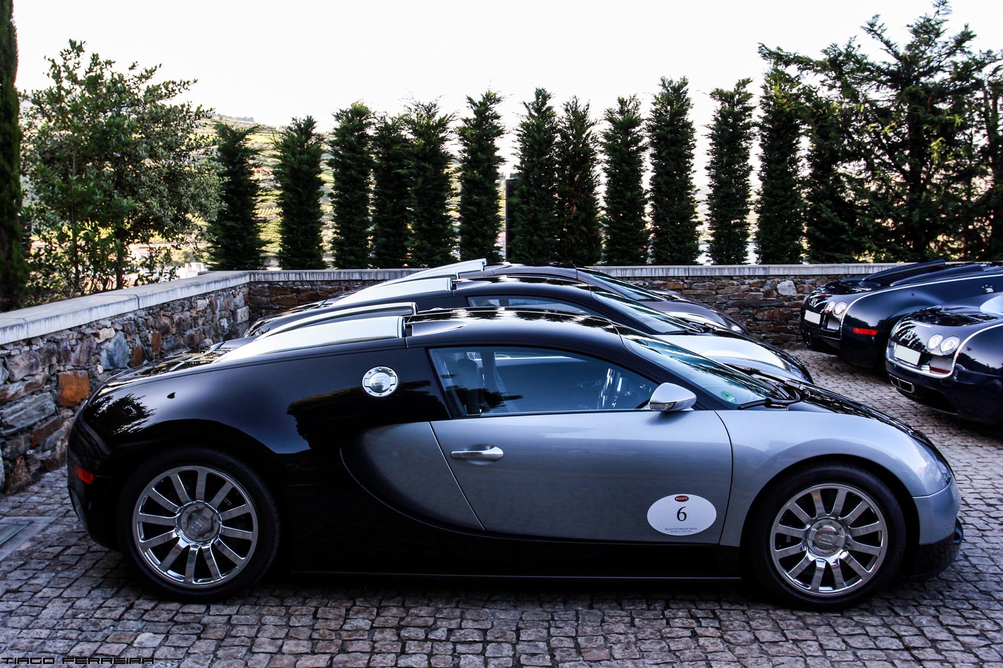 
Trên toàn thế giới chỉ có 450 chiếc Bugatti Veyron được xuất xưởng, sau đó phiên bản Chiron kế nhiệm được lên dây chuyển sản xuất. Mức giá bán cho một chiếc Bugatti Veyron bản tiêu chuẩn vào khoảng 1,3 triệu USD.
