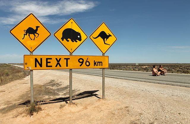 
Cảnh báo thường xuyên có động vật hoang dã trên đường cao tốc Eyre.
