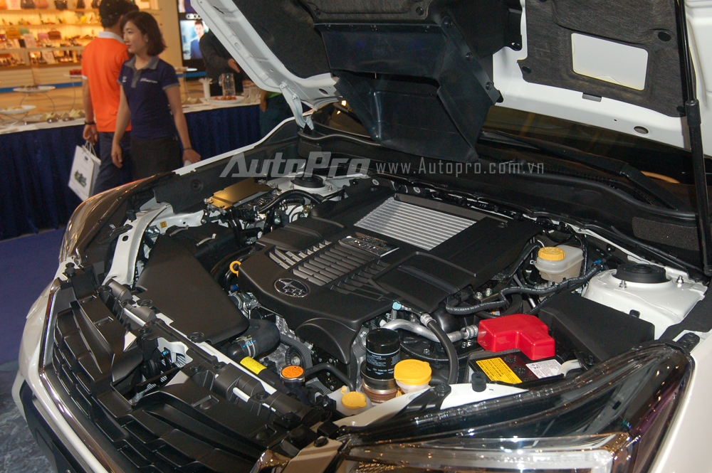 
Còn với bản Subaru Forester 2.0XT 2016 nhờ được trang bị thêm tăng áp kép ở động cơ, nên sản sinh công suất tối đa 241 mã lực tại vòng tua máy 5.600 vòng/phút, mô-men xoắn cực đại 350 Nm.
