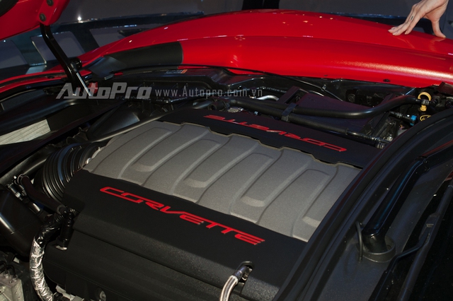 
C7 Stingray là mẫu xe mạnh nhất trong dòng Corvette khi sử dụng động cơ V8, dung tích 6.2 lít, sản sinh công suất cực đại 460 mã lực tại vòng tua máy 6.000 vòng phút và mô-men xoắn cực đại 630 Nm tại vòng tua 4.600 vòng phút. Hộp số tự động 7 cấp, tích hợp thêm lẫy chuyển số trên vô lăng. Chiếc xe thể thao đến từ Mỹ, mất 3,7 giây đạt vận tốc 100 km/h từ vị trí xuất phát.Tại thị trường Mỹ, Corvette Stingray phiên bản tiêu chuẩn có giá 51.995 USD, trong đó nếu muốn trang bị thêm gói option cao cấp Z51, khách hàng phải móc hầu bao thêm 20.000 USD.
