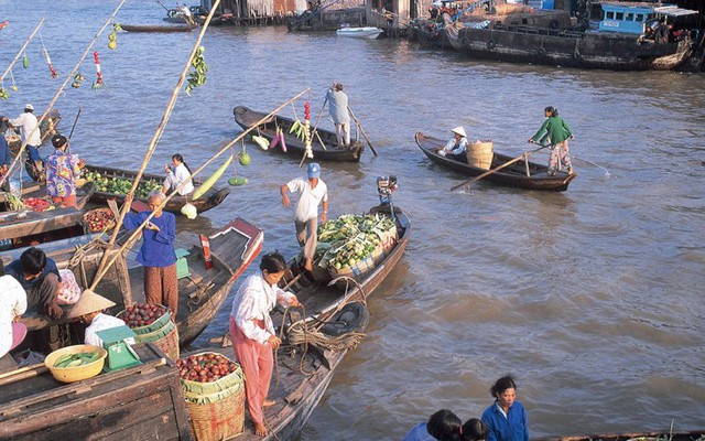 Cây Bẹo