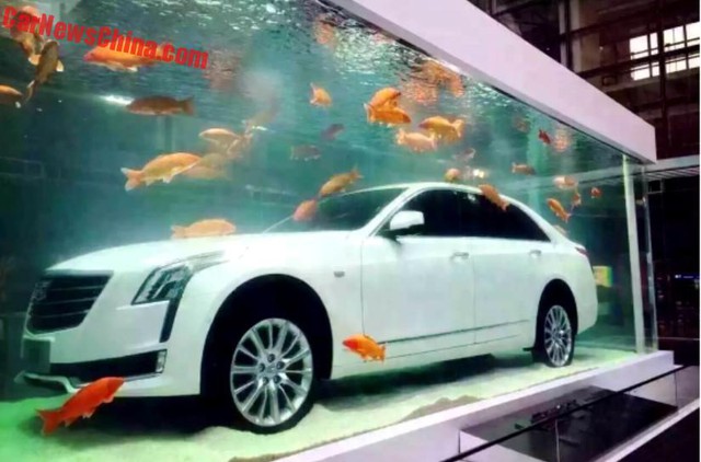 
Cadillac CT6 là mẫu xe sang mới ra mắt thị trường Trung Quốc.
