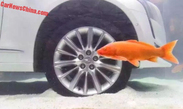 
Một con cá vàng bơi gần bánh xe Cadillac CT6.
