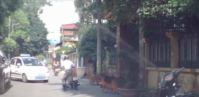 
Con chó lao ra sủa khiến người đàn ông đi xe máy hoảng sợ. Ảnh cắt từ video
