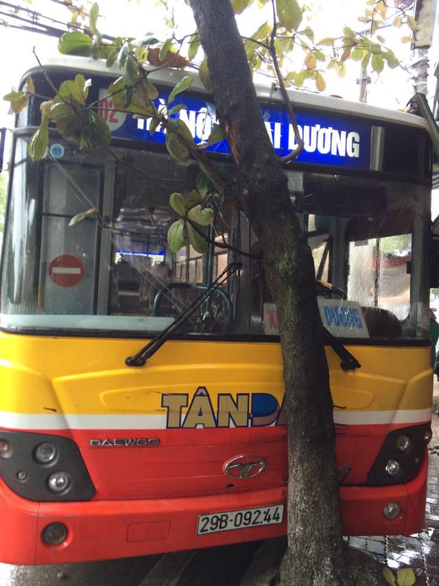 
Chiếc xe buýt đâm vào gốc cây bàng bên đường.
