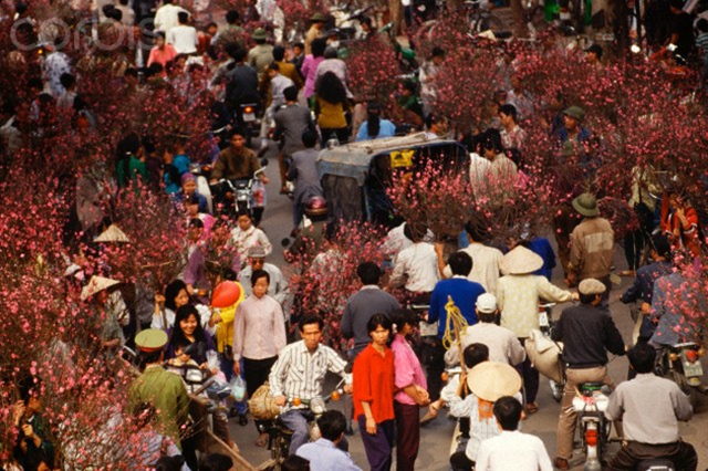 
Tại các chợ hoa luôn ngợp bóng hoa đào cùng các phương tiện chen nhau như mắc cửi.
