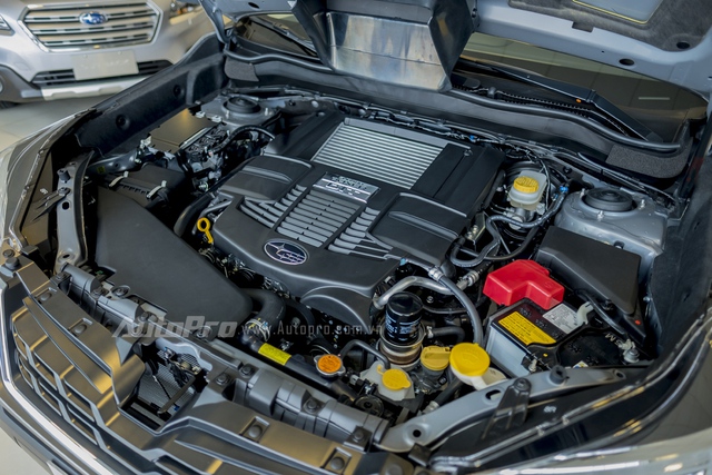 
Động cơ của Subaru Forester 2.0 XT là loại phun nhiên liệu trực tiếp, tăng áp nên có công suất tối đa 241 mã lực tại vòng tua máy 5.600 vòng/phút và mô-men xoắn cực đại 350 Nm tại dải vòng tua máy 2.400 - 3.600 vòng/phút.
