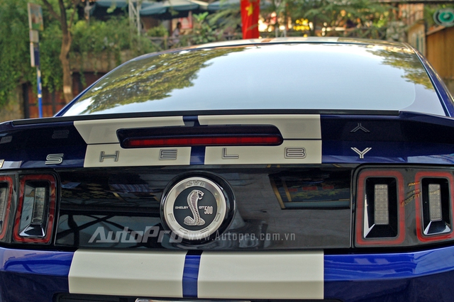Phần đuôi xe cũng có hình ảnh chú rắn hổ mang nằm chính giữa, hai bên là dòng chữ Shelby và GT500 được xếp đối xứng. Bên cạnh đó là huy hiệu của đội thiết kế đặc biệt SVT bao bọc bên ngoài, tạo nên logo đặc biệt cho xe.
