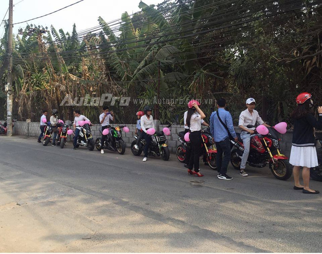 Honda MSX 125 là chiếc xe côn tay với thiết kế nhỏ nhắn, lạ mắt nên được nhiều bạn trẻ ưa chuộng. Tại thị trường Việt Nam, có khá nhiều chiếc Honda MSX 125 độ độc đáo. Trong đó, phong cách kéo dài gắp bánh sau hay dàn đèn pha dạng LED 3 tầng được ưa chuộng khá nhiều.