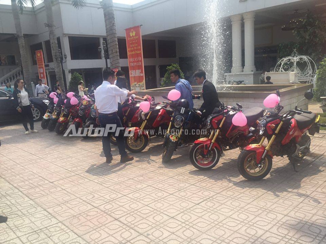 Rất nhiều khách tham dự tiệc cưới tò mò với sự xuất hiện của dàn Honda MSX 125 trong vài trò rước dâu.