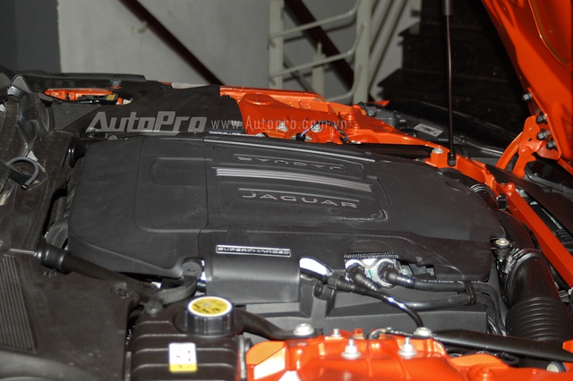 Jaguar F-Type S sử dụng động cơ V8 siêu nạp, dung tích 3.0 lít, sản sinh công suất tối đa 375 mã lực tại vòng tua 6.500 vòng/phút và mô-men xoắn cực đại 460 Nm tại 3.500 - 5.000 vòng/phút. Sức mạnh được truyền tới cả 4 bánh thông qua hộp số tự động 8 cấp. Nhờ đó, xe có thể tăng tốc từ 0-100 km/h trong 5 giây và đạt vận tốc tối đa 275 km/h.