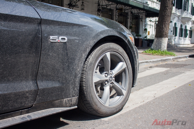Ford Mustang GT 5.0 dùng bộ mâm 5 chấu khá đơn giản nhằm ăn khớp với các đường nét cơ bắp và mạnh mẽ trên thiết kế tổng thể của xe.