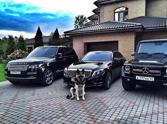 
Một chú chó nhận nhiệm vụ trông 3 chiếc xe sang màu đen bóng.
