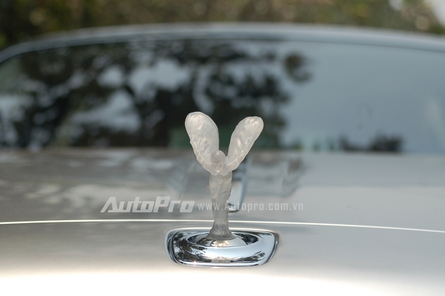 Logo Spirit of Ecstasy sử dụng chất liệu polycarbonate trong suốt được giới thiệu lần đầu tiên tại triển lãm Geneva, Thụy Sĩ, vào năm 2011 trên chiếc xe concept, Rolls-Royce 102EX. Ngoài ra, khi di chuyển vào ban đêm, logo này sẽ lấp lánh với ánh sáng màu xanh dương và trắng.