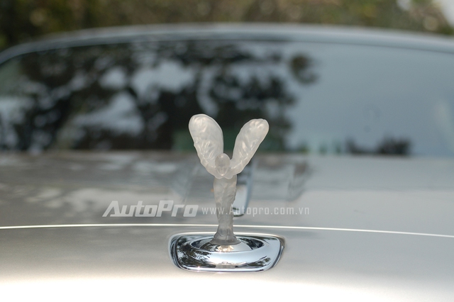 
Logo Spirit of Ecstasy sử dụng chất liệu polycarbonate trong suốt được giới thiệu lần đầu tiên tại triển lãm Geneva, Thụy Sĩ, vào năm 2011 trên chiếc xe concept, Rolls-Royce 102EX. Ngoài ra, khi di chuyển vào ban đêm, logo này sẽ lấp lánh với ánh sáng màu xanh dương và trắng.
