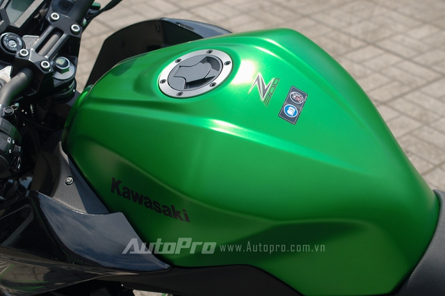 
Với dàn áo xanh-đen, màu xanh lá nổi bật ở bình xăng, đuôi xe, đầu đèn pha, tem, và mỏ cày. Bình xăng Kawasaki Z300 có dung tích 17 lít tương tự chiếc Ninja 300.
