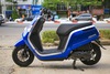 Honda Dunk 50 phân khối - Xe ga 'hàng hiếm' giá tới 100 triệu đồng tại Việt Nam