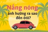 Tác hại của nắng nóng đến các bộ phận trong ô tô