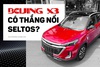 Bóc tách Beijing X3 vừa về Việt Nam: Đấu Kia Seltos bằng giá Sonet, hàng hot sau Beijing X7