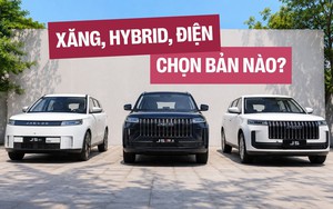 Loạt xe hybrid được c&ocirc;ng bố tại Việt Nam chỉ trong 1 th&aacute;ng: Hầu hết l&agrave; SUV Nhật, H&agrave;n, c&oacute; cả HEV, PHEV, gi&aacute; từ hơn 500 triệu đồng - Ảnh 4.