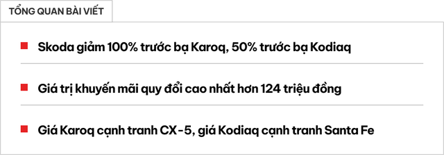 Skoda Karoq, Kodiaq giảm tới 124 triệu chi phí lăn bánh: Giá khởi điểm thực tế còn hơn 880 triệu, dễ cạnh tranh nhóm CX-5, Tucson - Ảnh 1.