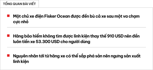 Chỉ hỏng nhẹ cửa trị giá hơn 20 triệu đồng, chủ xe điện được đền tiền cả xe vì bảo hiểm không tìm được linh kiện thay thế - Ảnh 1.