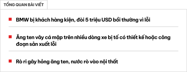 Khách hàng kiện BMW vì chi tiết tưởng đơn giản này lại có thể làm hư hại lớn- Ảnh 1.