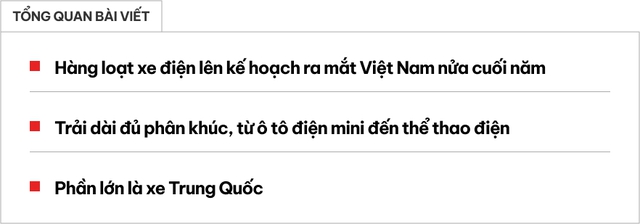 Loạt xe điện ra mắt Việt Nam nửa cuối 2024: Hầu hết là xe Trung Quốc, giá từ vài trăm triệu tới hàng tỷ đồng- Ảnh 1.