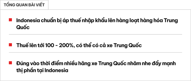 Xe Trung Quốc đặt cược vào Việt Nam và các nước ĐNÁ: Mang cách làm cũ, từng thành công nhưng có thể bị dội 'gáo nước lạnh'- Ảnh 1.