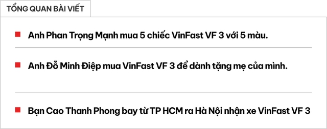 Muôn màu chuyện chủ xe VinFast VF 3: Người mua 5 xe cùng lúc, người dành tặng mẹ, người bay từ TP HCM ra Hà Nội nhận xe- Ảnh 1.