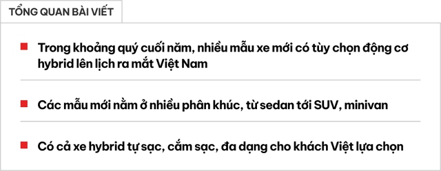 Xe hybrid mới ồ ạt về Việt Nam dịp cuối năm: Có cả SUV, sedan, minivan, có mẫu cắm sạc, đầy bình xăng-điện chạy 1.200km- Ảnh 1.