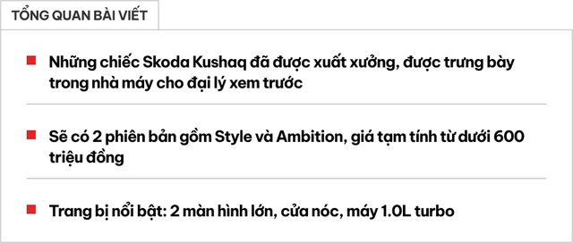 Ảnh thực tế 2 bản Skoda Kushaq tại Việt Nam: Giá dự kiến từ dưới 600 triệu đồng, ra mắt tháng này cạnh tranh Xforce, Creta- Ảnh 1. Ảnh thực tế 2 bản Skoda Kushaq tại Việt Nam: Giá dự kiến từ dưới 600 triệu đồng, ra mắt tháng này cạnh tranh Xforce, Creta- Ảnh 1.