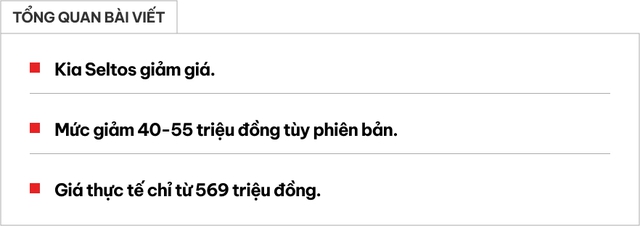 Kia Seltos giảm giá tới 55 triệu đồng tại Việt Nam: Bản 'base' thực tế còn 569 triệu, đua lập sàn giá phân khúc với Xforce, Creta- Ảnh 1. Kia Seltos giảm giá tới 55 triệu đồng tại Việt Nam: Bản 'base' thực tế còn 569 triệu, đua lập sàn giá phân khúc với Xforce, Creta- Ảnh 1.