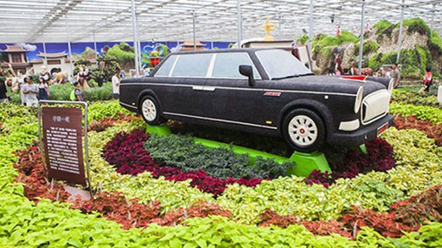 Độc đáo với “Rolls-Royce Trung Quốc” làm từ hàng nghìn hạt đậu