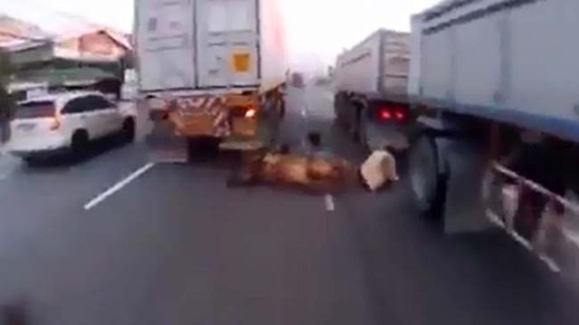 Biker “cao số” thoát chết trong gang tấc