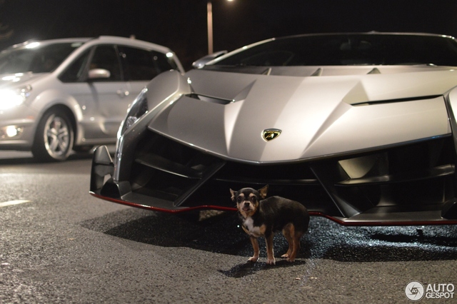 Bắt gặp siêu xe Lamborghini Veneno Coupe không phải để bán chạy trên đường phố - Ảnh 4.