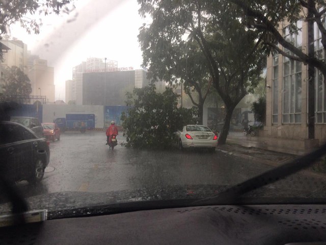 Mưa lớn tại Sài Gòn giữa mùa khô, cành cây đổ trúng xe sang Mercedes-Benz S-Class - Ảnh 1.