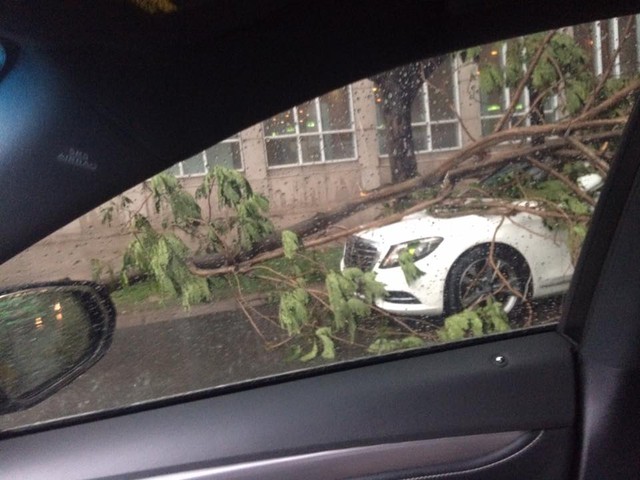 Mưa lớn tại Sài Gòn giữa mùa khô, cành cây đổ trúng xe sang Mercedes-Benz S-Class - Ảnh 2.