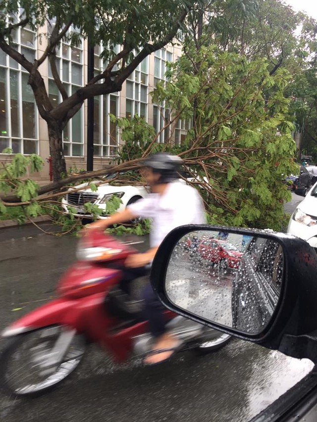 Mưa lớn tại Sài Gòn giữa mùa khô, cành cây đổ trúng xe sang Mercedes-Benz S-Class - Ảnh 3.