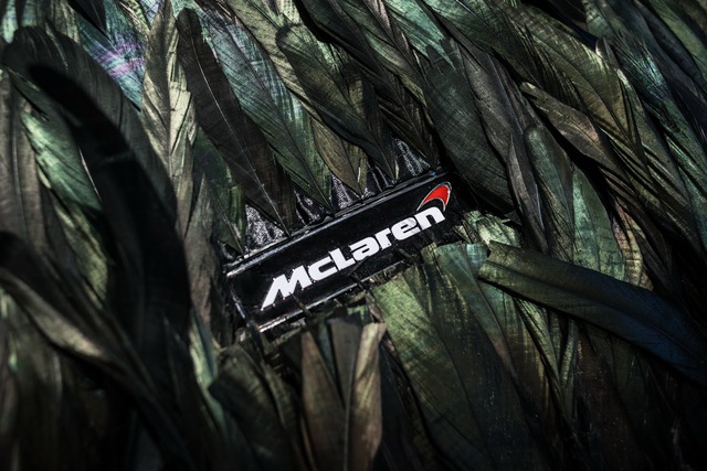Siêu xe McLaren 570GT phủ lông chim cho người thích chơi trội - Ảnh 7.