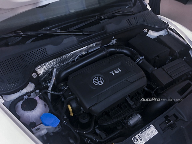 Volkswagen mạnh tay đưa Beetle Dune và Passat BlueMotion về Việt Nam - Ảnh 3.