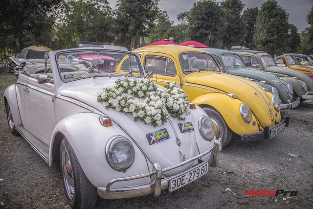 Chiêm ngưỡng dàn bọ già Volkswagen Beetle đủ sắc màu tại Hà Nội - Ảnh 1.