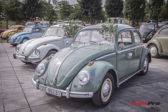 Chiêm ngưỡng dàn bọ già Volkswagen Beetle đủ sắc màu tại Hà Nội - Ảnh 3.